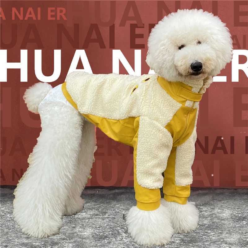 When Does A Poodle Need A Coat In Winter