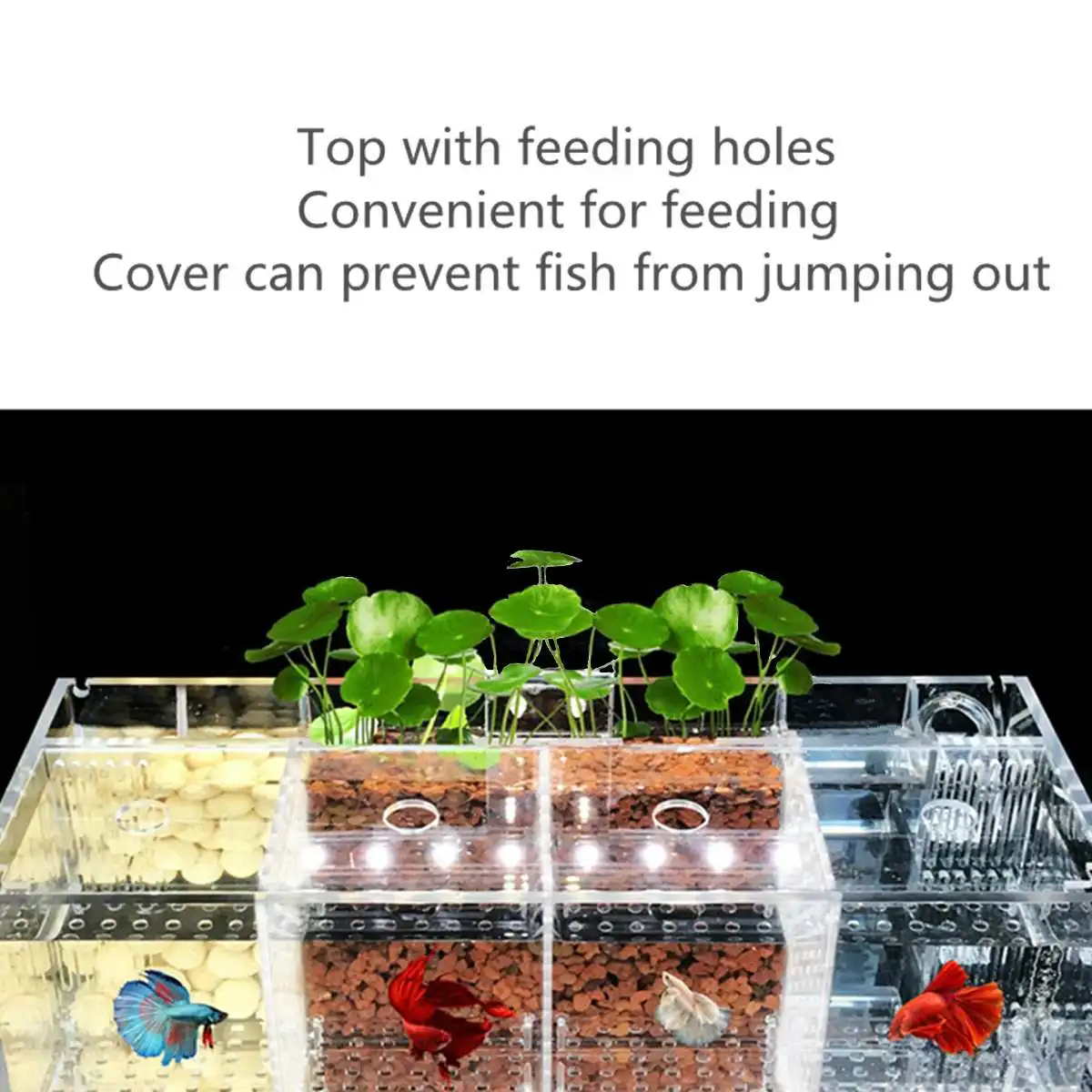 

Hot 3/4 Grids Acrylic Bettas Cylinder Isolated Fish Tank Tilted Water Pump Breeding Cylinder Baby Betta Tank Guppy Breeding Aqua