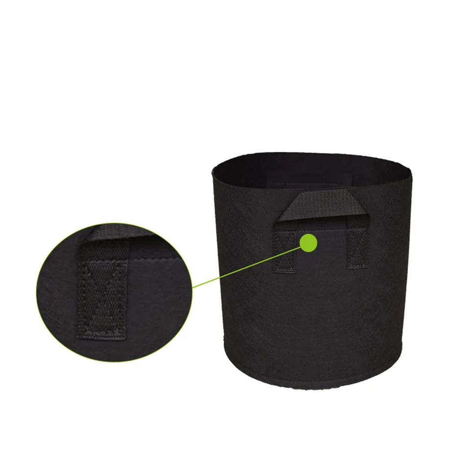 Growing Your Own Quarantine Garden | North Texas Food Bank, image size:960x960