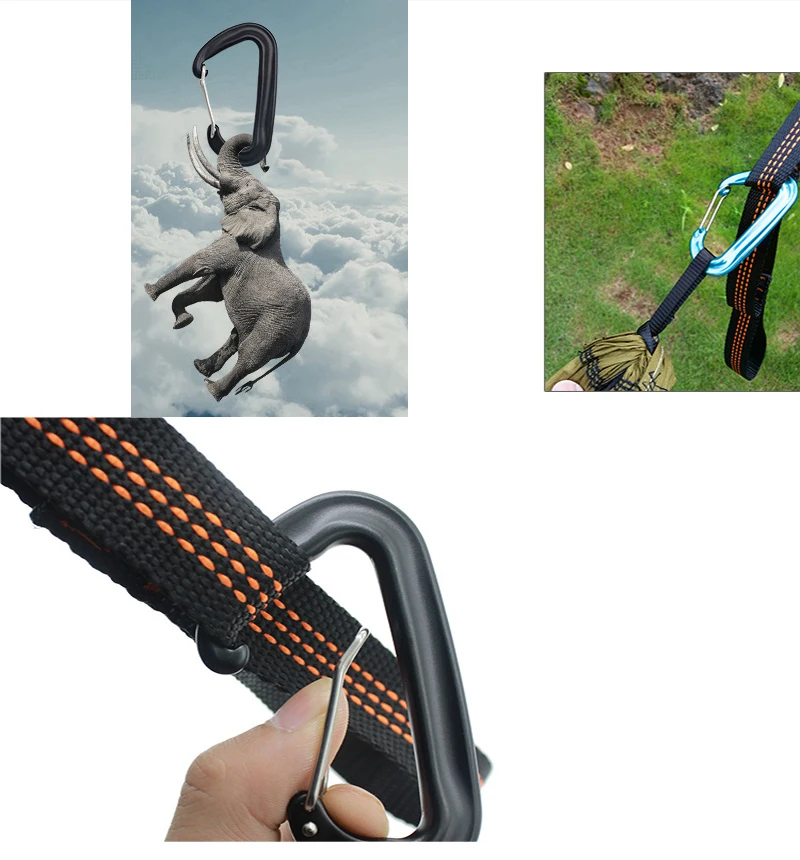 3218925559_854797433