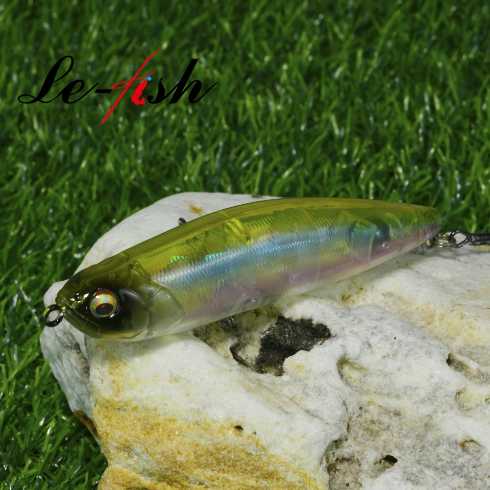 Le Fish 100mm 19g 탑워터 표면 루어 워크 더 도그 베이스 파이크 스파로우 워블러 스틱 미끼 플로팅 펜슬 포퍼