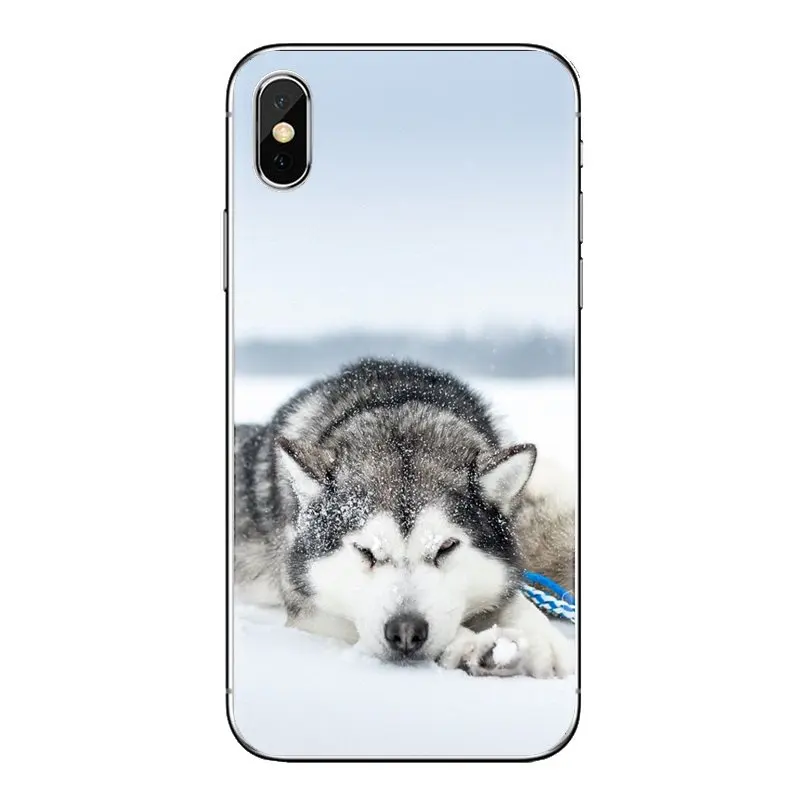 Husky Puppy cute Dog Transparent Soft Shell Covers For Samsung Galaxy J1 J2 J3 J4 J5 J6 J7 J8 Plus 2018 Prime 2015 2016 2017 | Мобильные