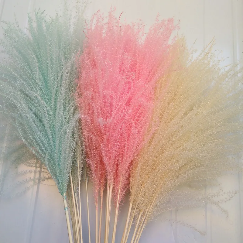 

10Pcs Natural Dried Flowers Reeds Cream Grey Small Pampas Grass Wedding Bouquet Photography Props Home Marriage Decoration