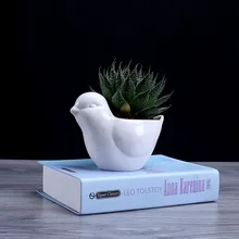Ceramic Cactus Flower Pot White Peace Dove Succulent Planter Plant 