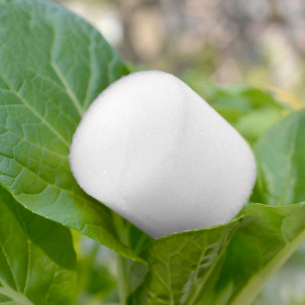 100Pcs Soilless Hydroponic Cylinders Sponge Plants Vegetable Seed Cultivation System For Fixing Nursery Pots Plants Root