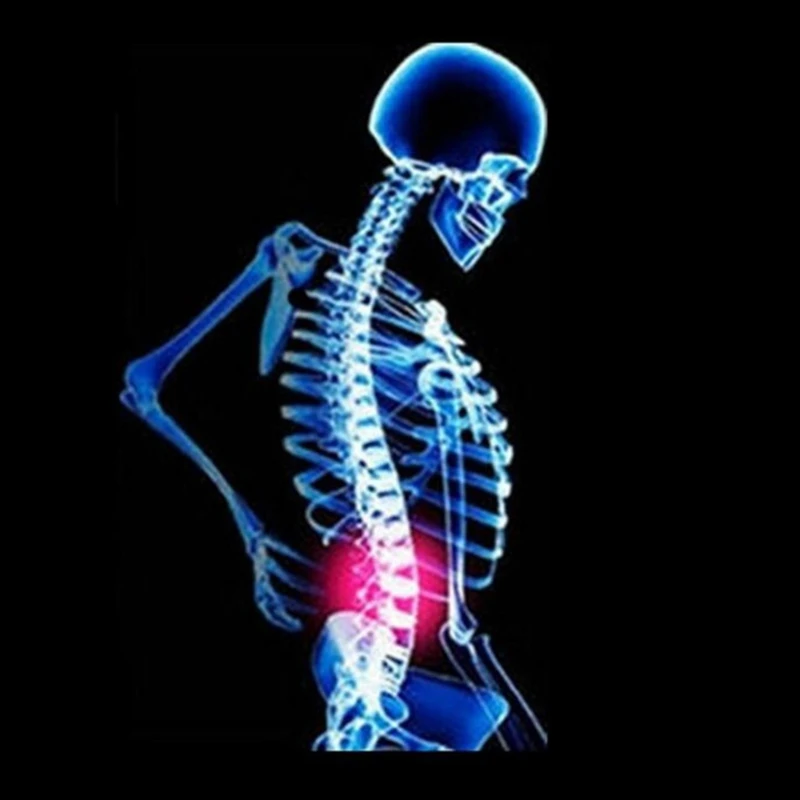 Ортопедическая Задняя поддержка Магнитный Корректор осанки-M