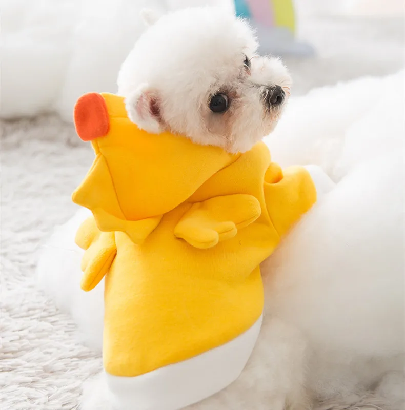 dog hoodies (6)