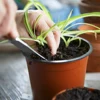 100Pcs Flowerpot Plastic Grow Box Fall Resistant Tray For Home Garden Plants Nursery Cup Transplant Flower Plant Pots 6