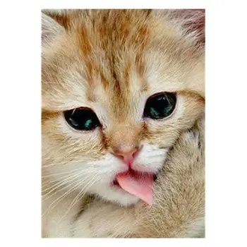 

5D DIY Diamond Painting Full Drill Cross Stitch Kit 40x30cm Diamond Painting New