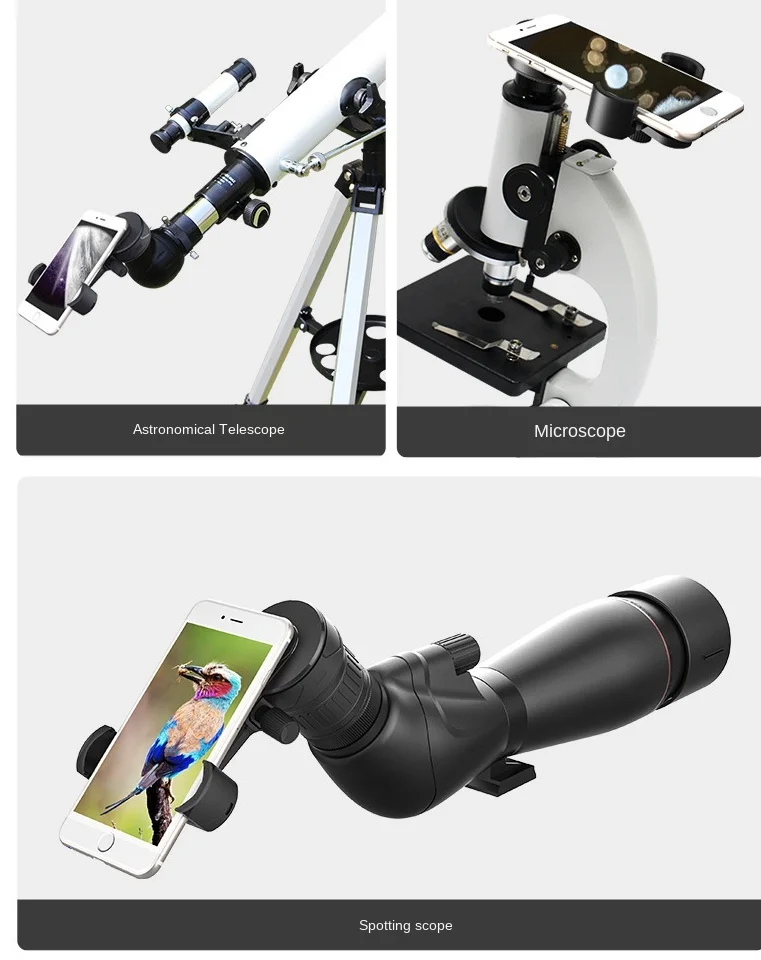 QQ截图20201010104147