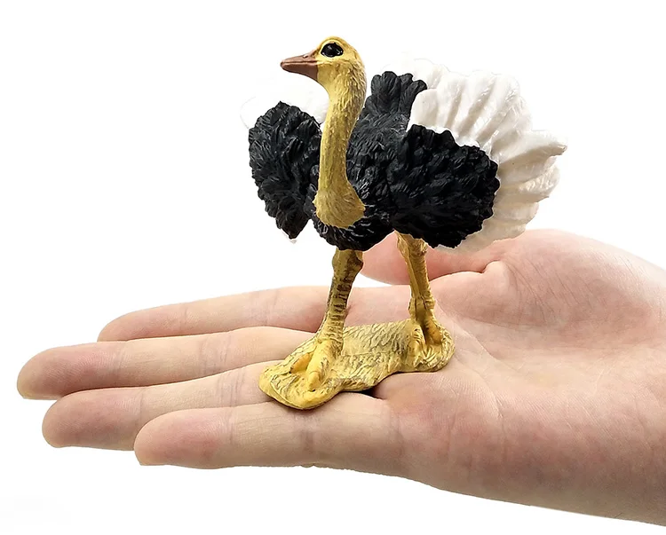 详情页-2款-鸵鸟_01