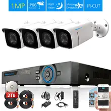 TOPROHOIME система видеонаблюдения с разрешением Full HD AHD 2MP 1920X1080P день камера наблюдения ночного видения комплект 4Ch H.265 2MP AHD DVR система 4 ТБ