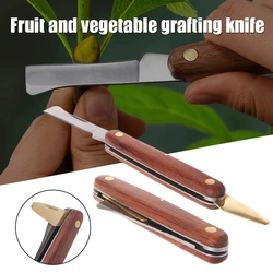 Coupe greffage pliable, couteau de greffage, ciseaux de taille d'arbre de semis, outil à main avec couvercle de doigt Anti coupure 