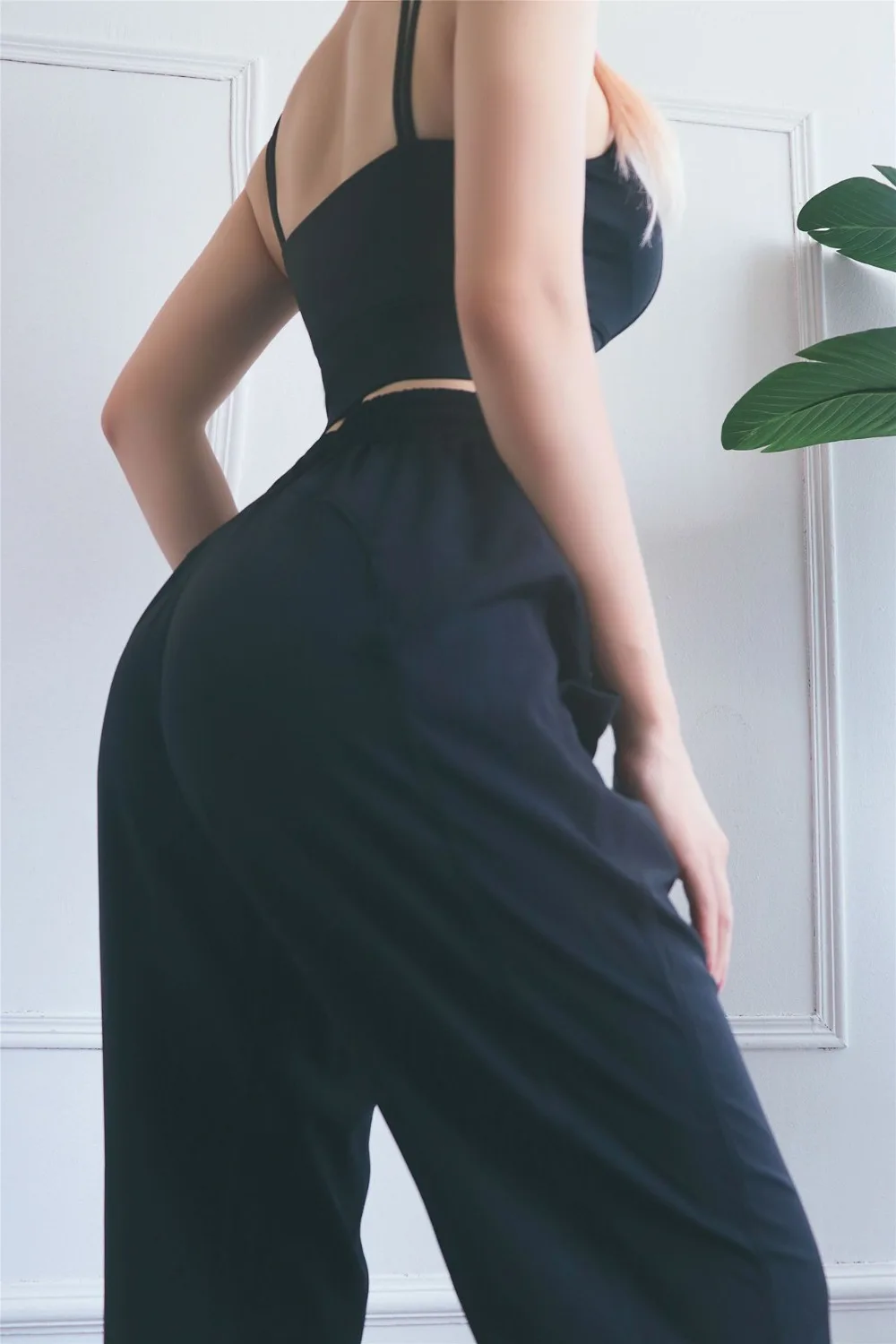图 (29)