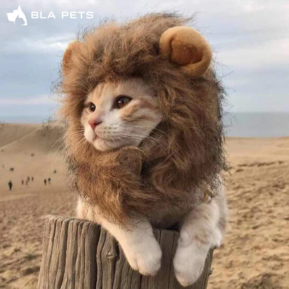 Disfraz de gatos melena de León para gato, peluca de pelo de León, gorro, disfraces de perros pequeños, Disfraces de Halloween para Navidad y Mascotas