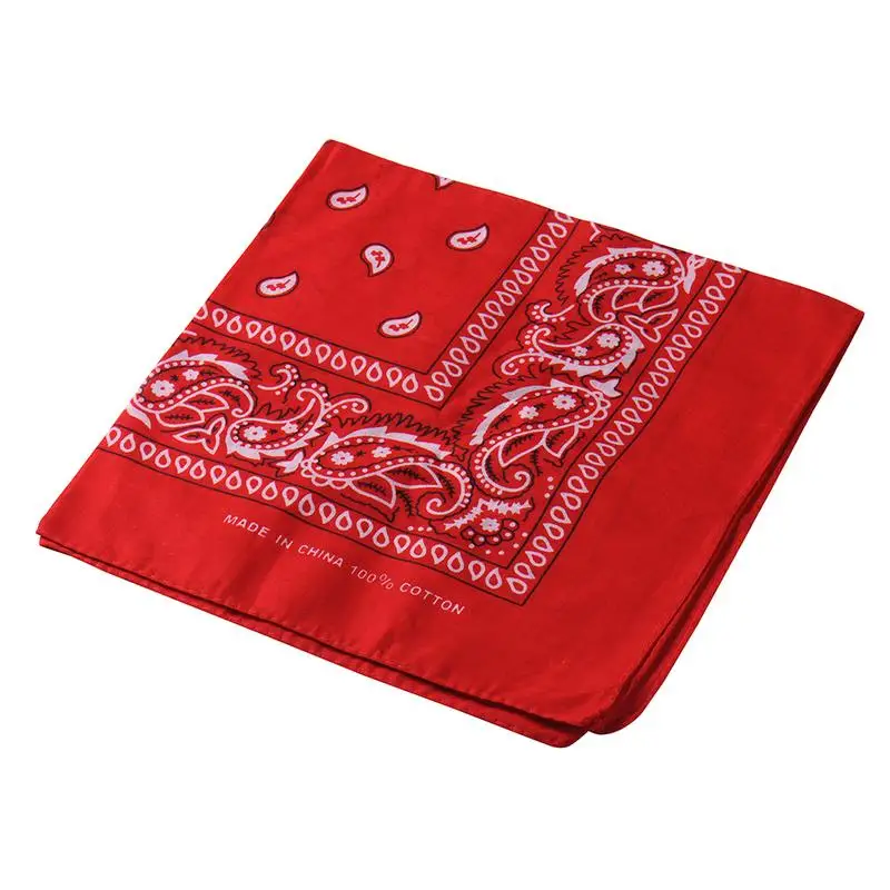 2 Piece Assorted Cowboy Bandanas 100 Cotton Square Scarf Fashion Hip Hop Bandana Scarf Outdoor