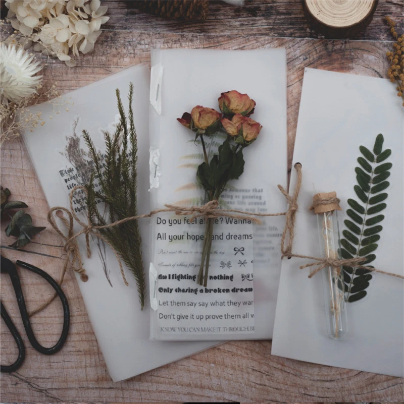 Coloffice Creative Plant Dried Flower Set Series font b PET b font Sticker Pack Creative Handbook