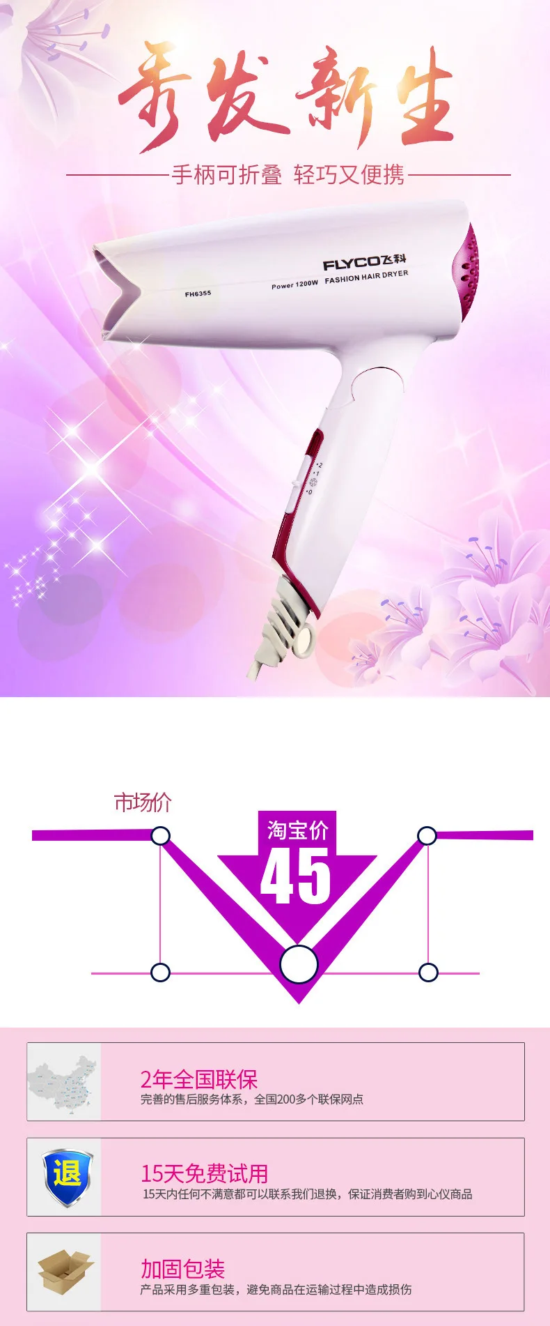 Flyco/Flying Branch Electric Hair Dryer/FH6355 Hair Dryer