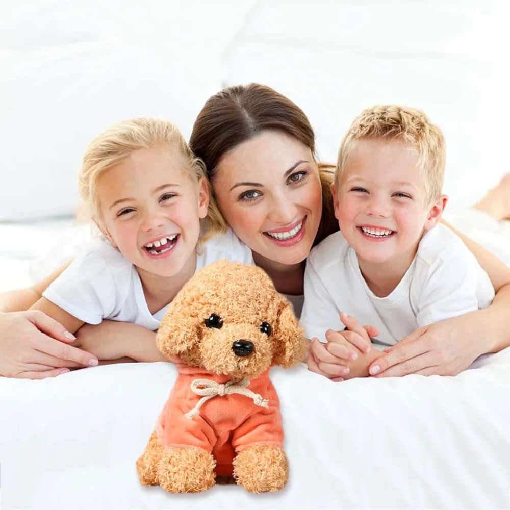 Teddy Dog Rag  (35)