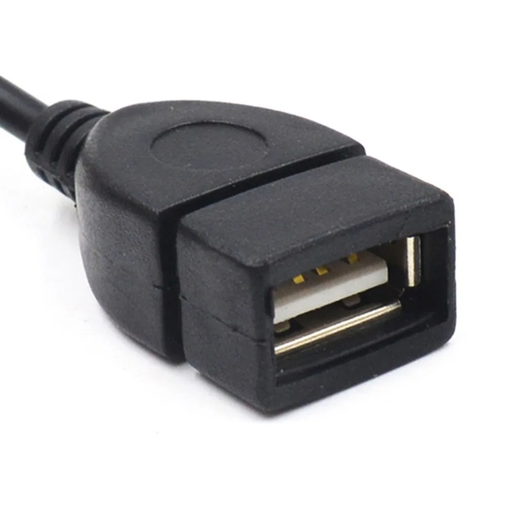 268463_no-logo_268463-1-10