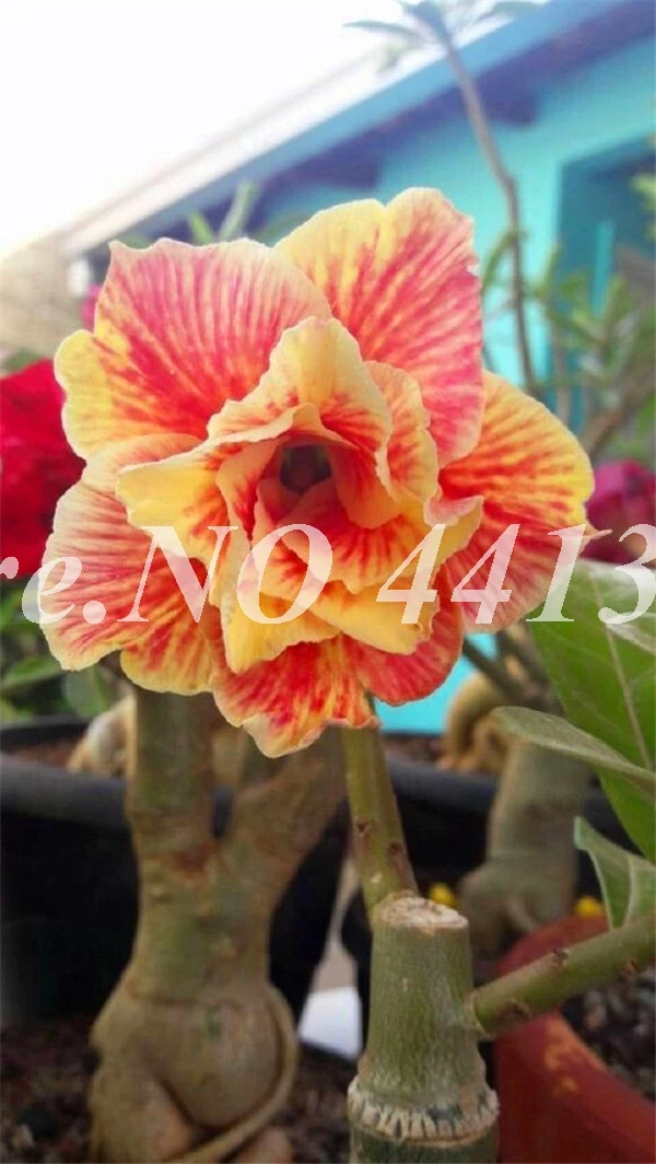 20191105_170358_143