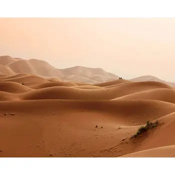 

SELILALI Photo By Numbers For Adults Desert Landscape Painting By Number 60x75cm Framed On Canvas Modern Home Wall Decor