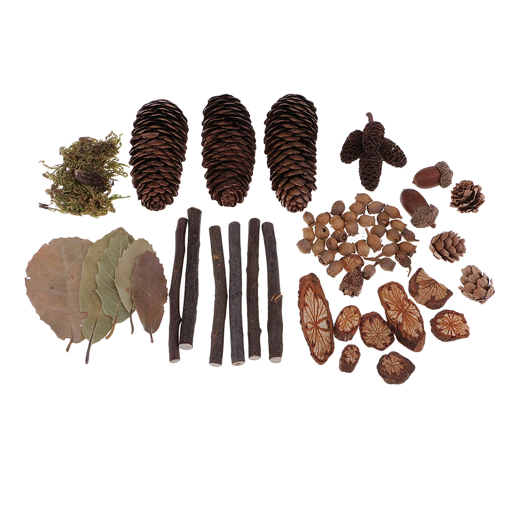 Mini Natural Rustic Dried Pine Cones In Bulk For Christmas Party Ornament DIY Decoration Dried Flowers Leaves Plants Ornaments