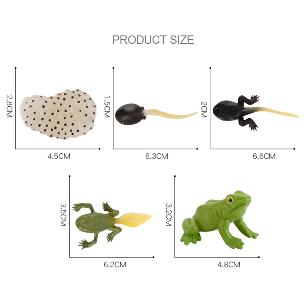 Early Kids Toddlers Simulation Animals Growth Cycle Toy Pretend Play Animal Growth Cycle Teaching Aids Early Educational Toy