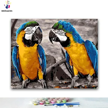 

DIY Coloring paint by numbers parrot paintings by numbers with kits 40x50 framed