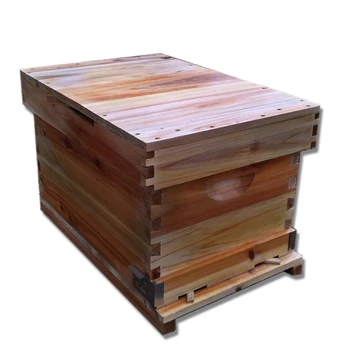 

Bee Beehive Complete Set Of Seven Bees, Beehives, Beekeeping Tools, Boiled Wax, Honey Beehive, Standard Fir, Bee Hives