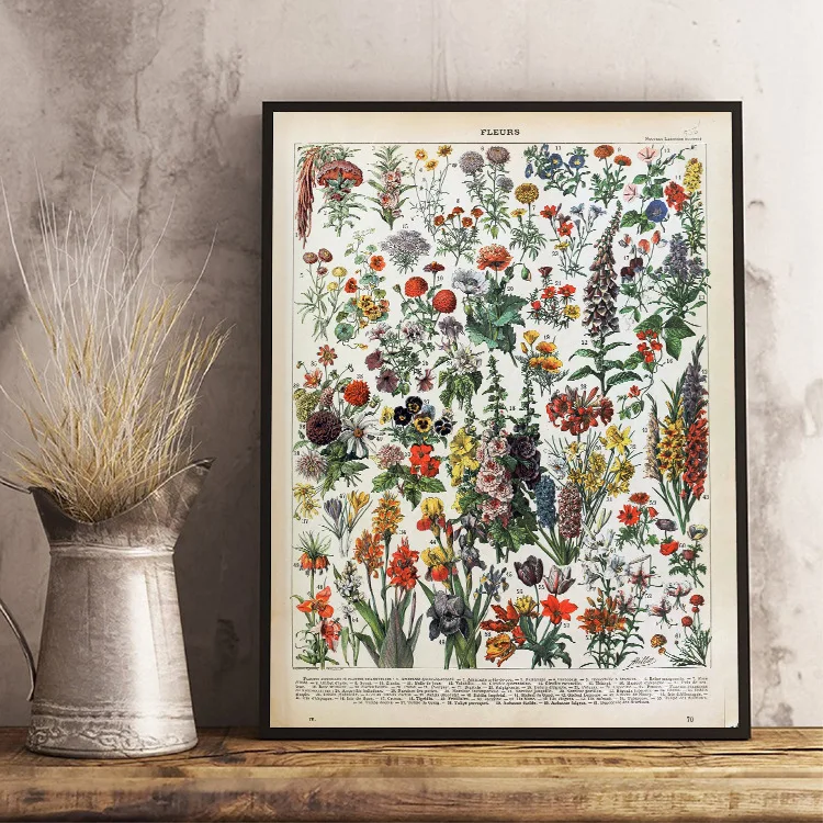 Butterfly-Birds-Vintage-Poster-and-Prints-Flowers-Mushrooms-Botanical-Educational-Prints-Canvas-Wall-Art-Painting-Pictures