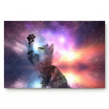

Animal Cat Colorful Starry Water Wave Living Room Carpet Non-slip Doormat Home Ecoration Bathroom Floor Mat
