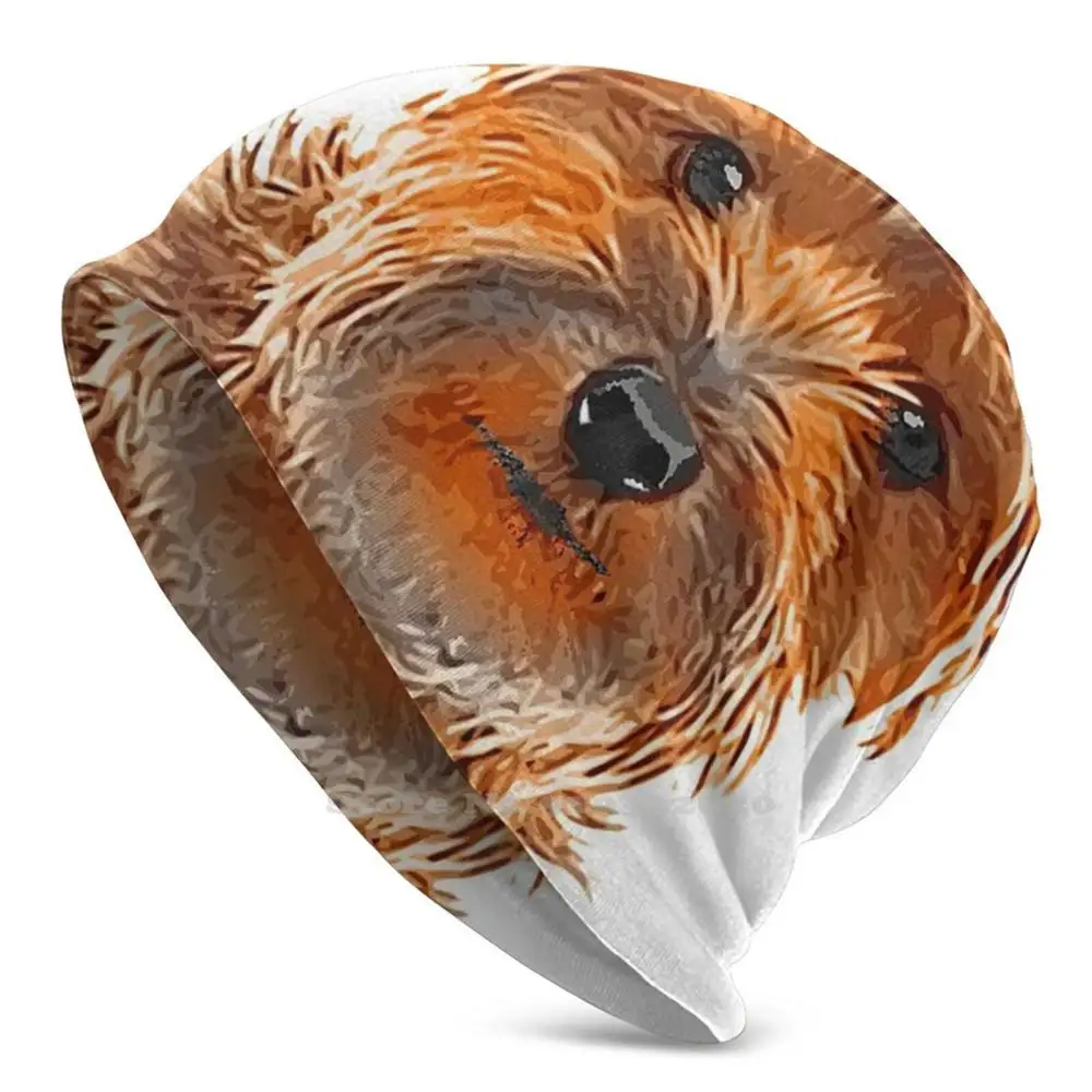 Yorkshire Uomo Donna Bambino Berretti Cappelli Lavorati A Maglia Autunno Inverno Yorkshire Terrier Yorkshire Terrier Pet Energy Feisty