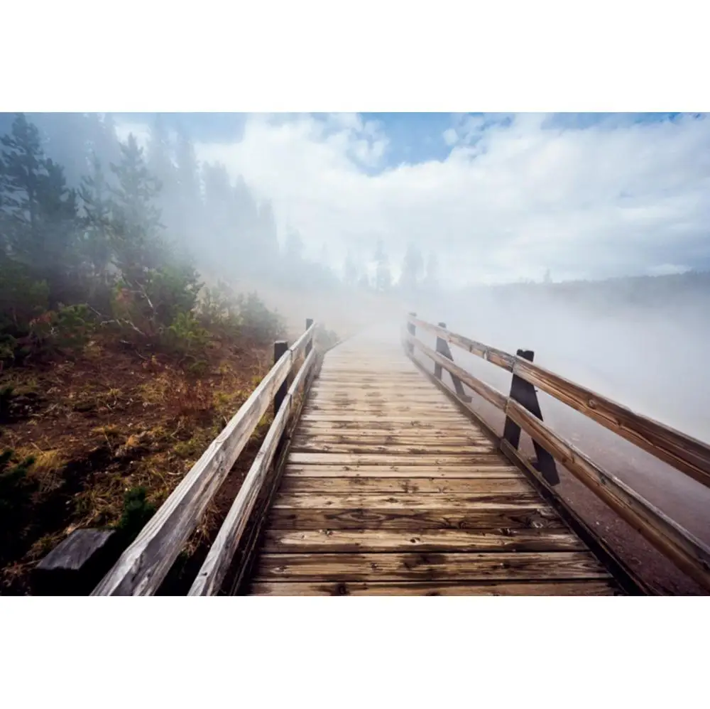 Laeacco лесное озеро деревянный Boardwalk Trod туман задний план свадебное фото винил