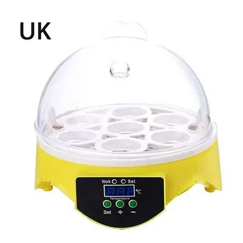 

7 Eggs Incubator Bird Egg Incubator Semi-automatic Miniature Egg Incubator Pigeon Household Incubators