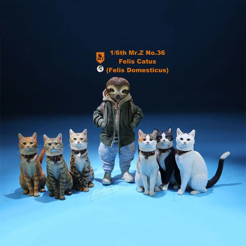 Mr Z 1 6 Scale Felis Catus No 036 Domestic Cat Orange Cat Simulation Cat Simulation Animal Model Static Decoration Mode Play Action Figures Aliexpress