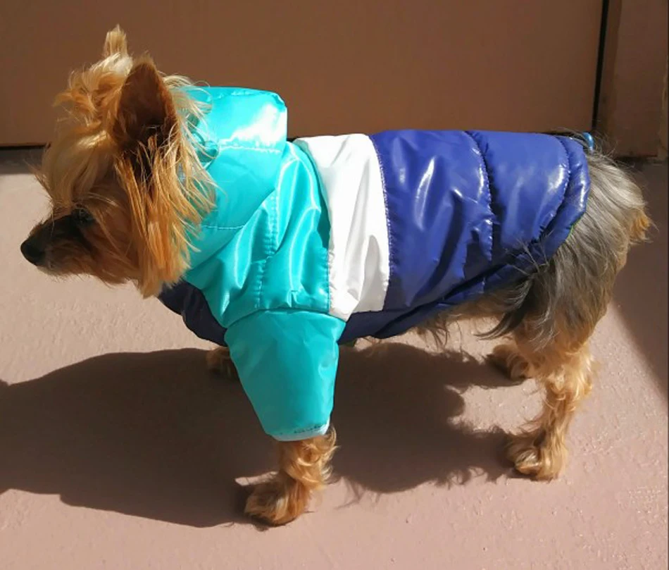 UTB8E6VxwNHEXKJk43Jeq6yeeXXaB