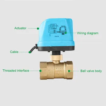 

220V Electric Ball Valve Brass Motorized Two-way Durable Waterproof Switch Type MU8669