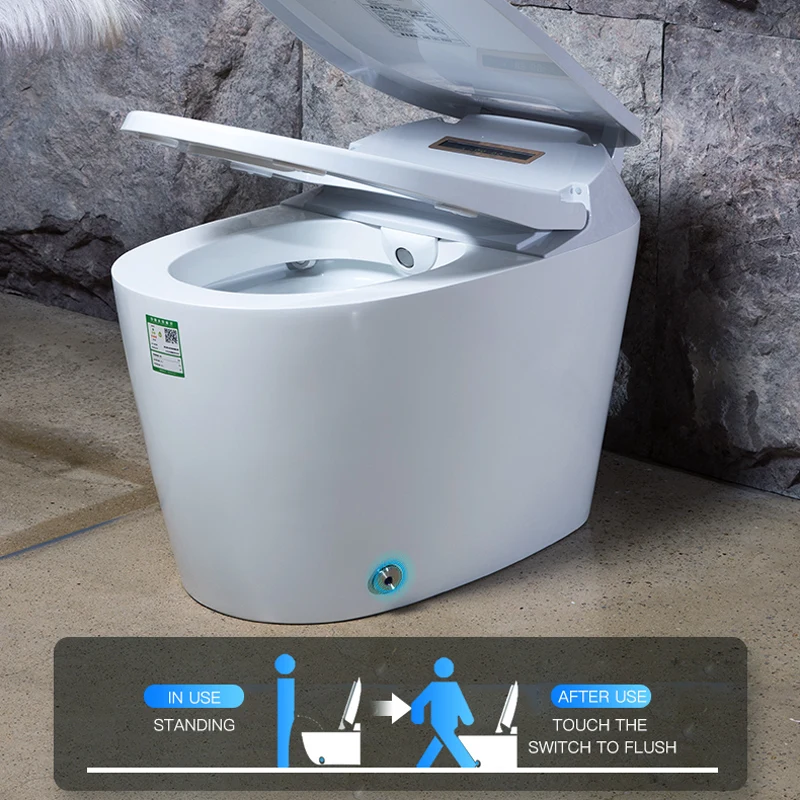 Ecofresh Bathroom tankless electric automatic intelligent toilet with remote control smart WC smart bidet one-piece toilet