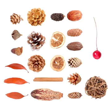 

1 Set Pinecone DIY Material Handmade Pine Cone Material for Home