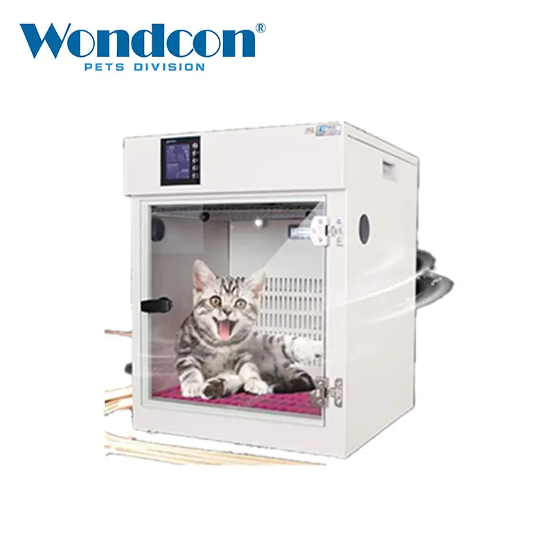 Hd1588f1ebfb64255bf0086e356dae0a6P