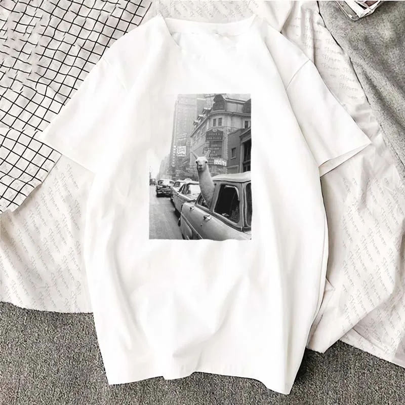 Hbfa1f80ce497410c9beda21c1ba14a9fT