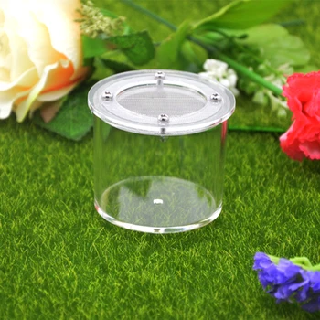 

NEW DIY Acrylic ant nest round insect House Pet Anthill Workshop,round ant farm seal Acrylic spider insect box reptile tank