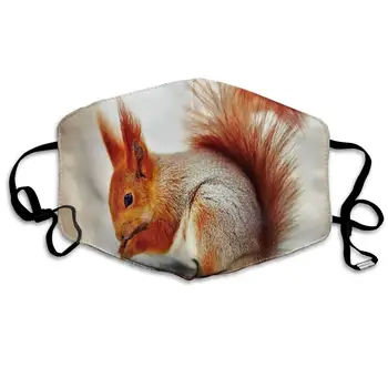 

Red Squirrel Cute Washeable Reusable Mouth Mask Cotton Anti Dust Half Face Mouth Mask for Men Women Dustproof with Adjustable