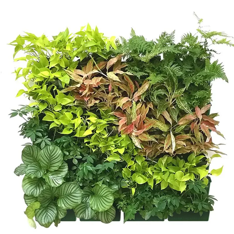 Настенный вертикальный цветочный горшок плантатор сочные зеленых растений бонсай ваза для дома и сада украшения A69D
