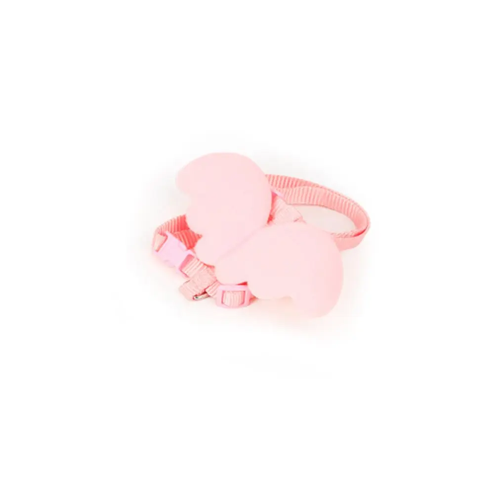 

Angel wings cat with a pink Leash