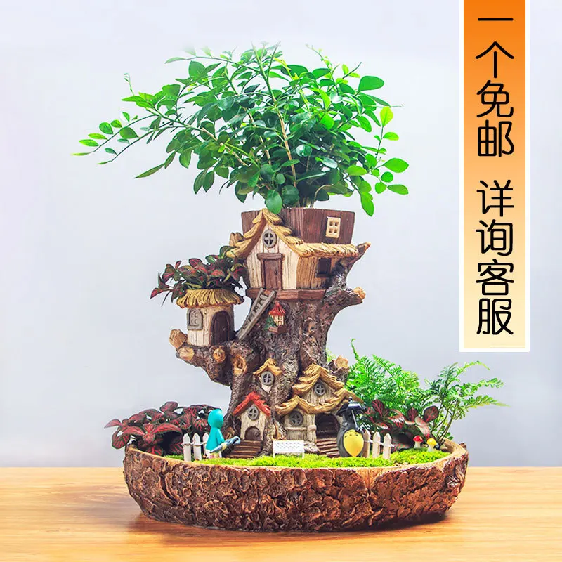 Micro landscape Flowerpot Succulent Plant Pot Office Household Flower Pot With Lamp Garden Decoration wholesale dropshipping (54)
