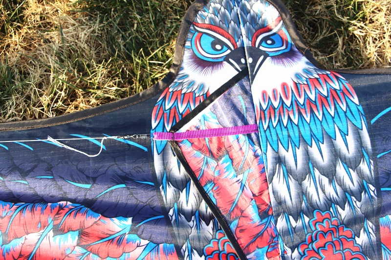 Free shipping large eagle kite flying toys for kids reel owl kite animal kites bird single line kites factory naish wind dragon 5