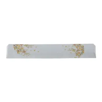 

SpaceBar Keycap PBT Five Sides Dye-Subbed 6.25U Cherry Profile Keyboard Keycap