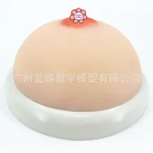 Женская модель груди Prolactin дивизия тренировочный реквизит для кормящих, обучающая модель силикагель, искусственная медицина груди, учебные материалы